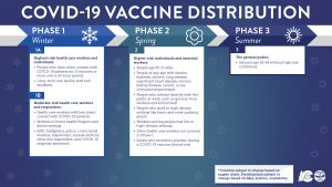 Phase timeline